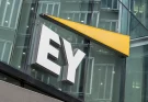 EY: Şirketler, ESG konusunda hedeflerini belirlemek için 5 alana odaklanmalı